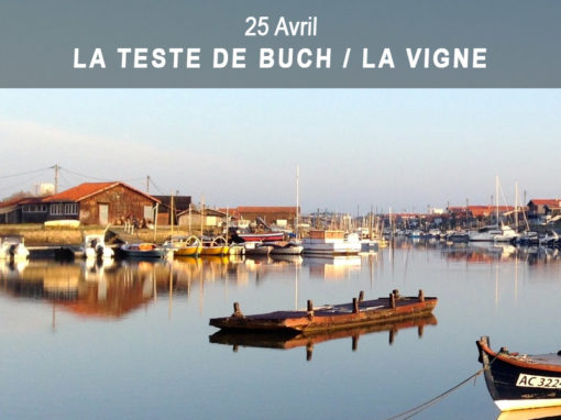1er mai) La Teste de Buch > La Vigne