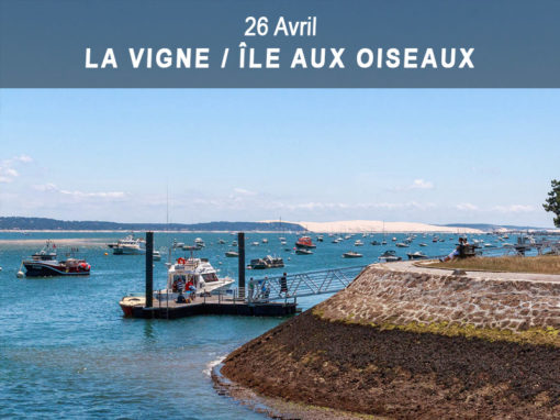 2 mai) La Vigne > Gujan-Mestras