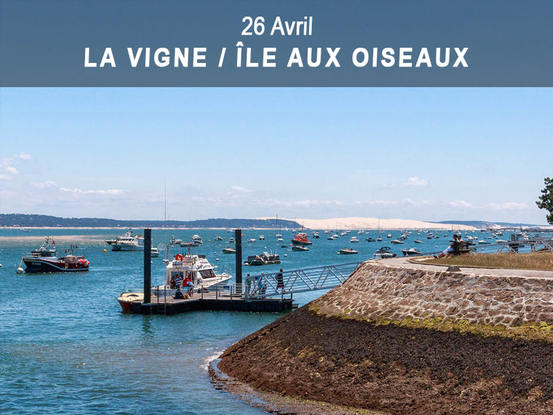 2 mai) La Vigne > Gujan-Mestras