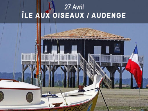 3 mai) Gujan-Mestras > Port de La Teste
