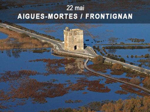 29 mai) Frontignan > Sète – Port